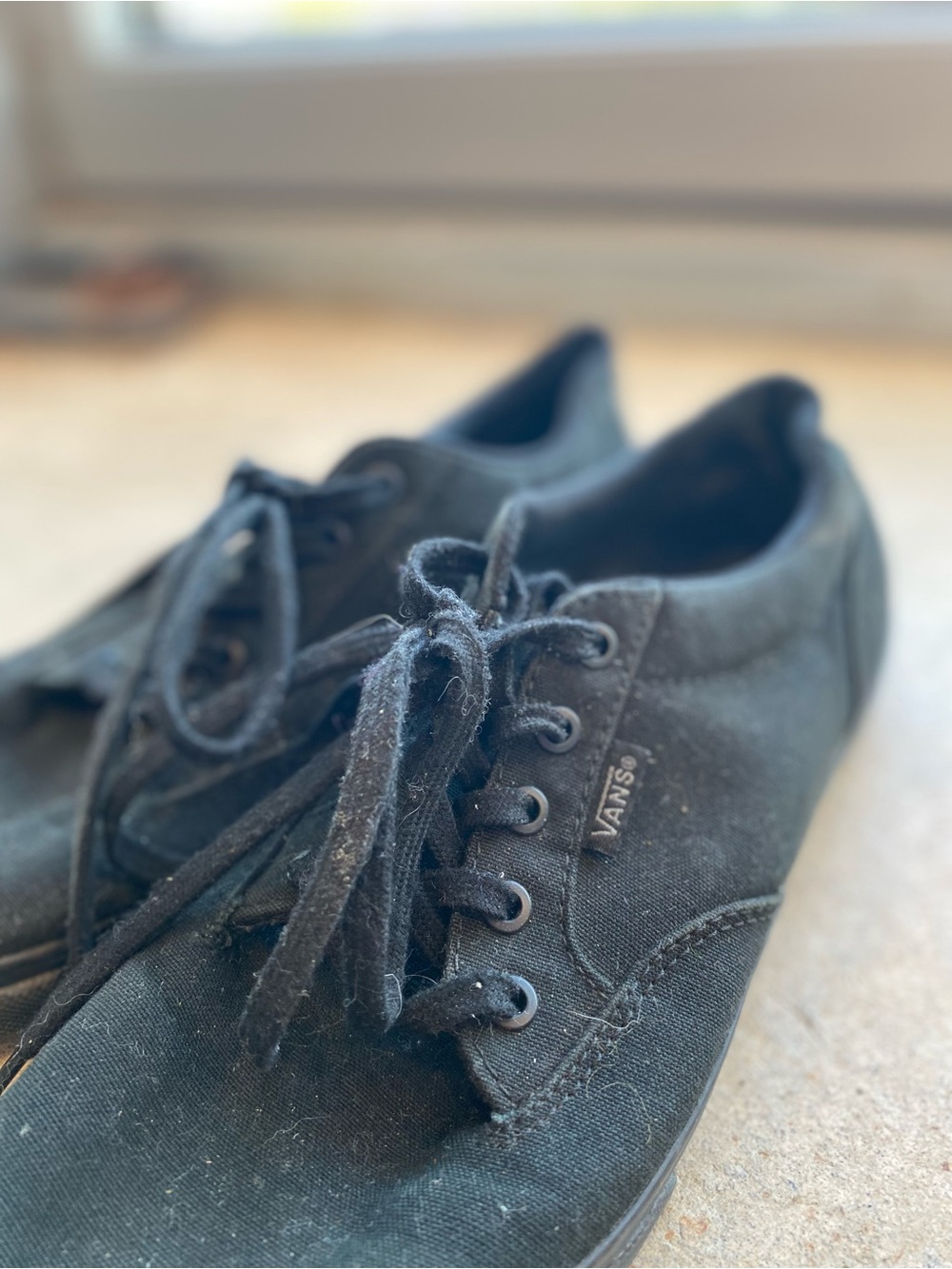 Vans Black Canvas Low-Top Lace-Up Sneakers